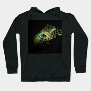 Feather Hoodie